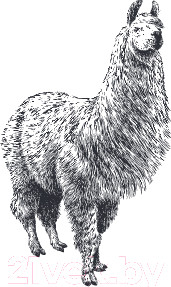 Изображение товара Раскраска-антистресс Эксмо Ламы. No Drama-Color Lama