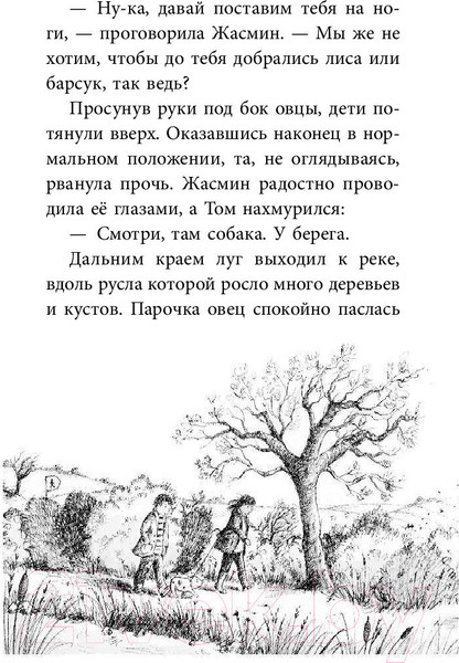Изображение товара Книга Эксмо Утенок Счастливчик, или Настоящий герой (Питерс Х.)