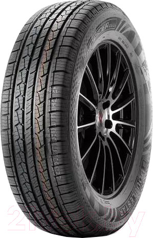 Изображение товара Летняя шина DoubleStar DS01 255/55R20 110V