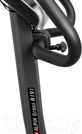 Изображение товара Велотренажер Alpin Gross B-191
