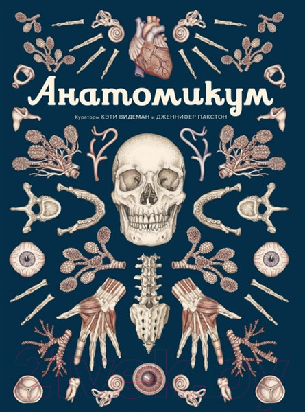 Изображение товара Энциклопедия Махаон Анатомикум (Пакстон Д.)