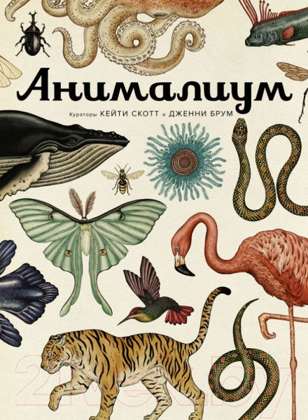 Изображение товара Энциклопедия Махаон Анималиум (Брум Дж.)