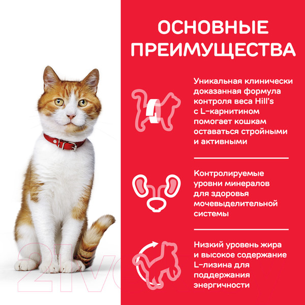 Изображение товара Сухой корм для кошек Hill's Science Plan Young Adult Sterilised Cat Chicken / 604180 (10кг)