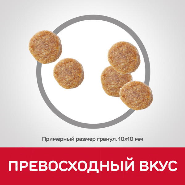 Изображение товара Сухой корм для кошек Hill's Science Plan Young Adult Sterilised Cat Chicken / 604180 (10кг)