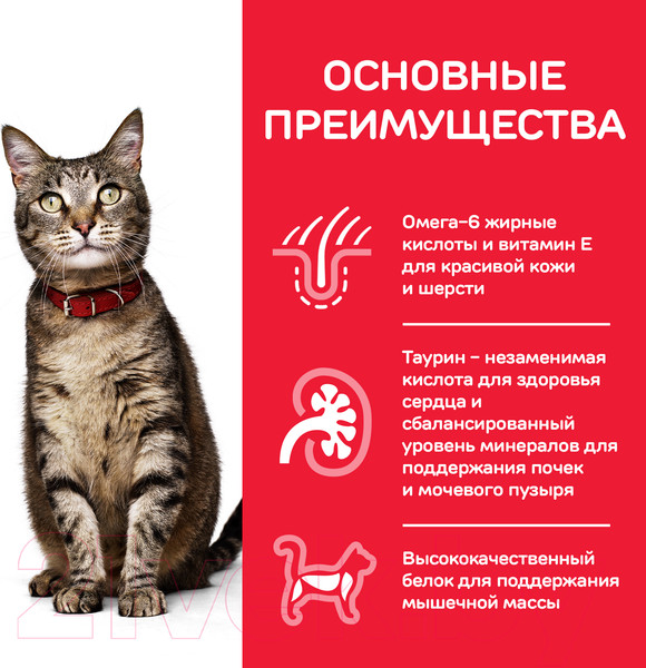 Изображение товара Сухой корм для кошек Hill's Science Plan Adult Tuna / 604075 (3кг)