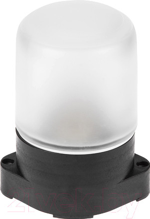 Изображение товара Светильник ЖКХ Юпитер JP1300-09 (черный)