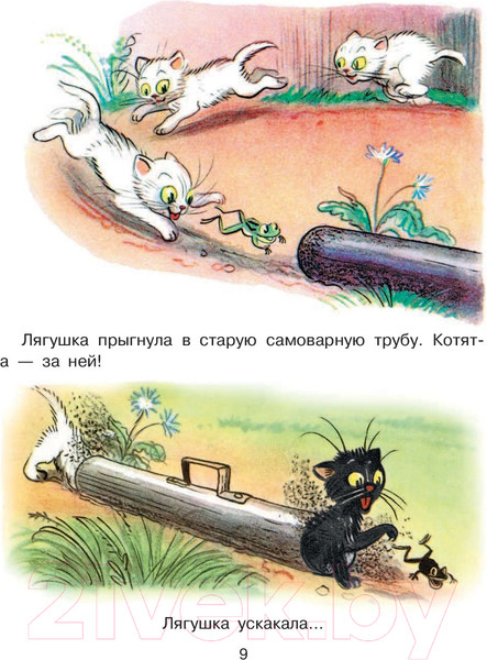 Изображение товара Книга АСТ Сказки для самых маленьких (Сутеев В.)