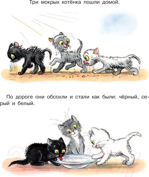 Изображение товара Книга АСТ Сказки для самых маленьких (Сутеев В.)