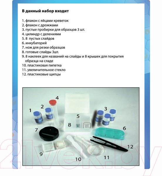Изображение товара Микроскоп оптический Bondibon ДУОскоп / ВВ2712