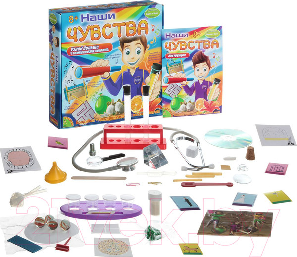 Изображение товара Набор для опытов Bondibon Наши чувства / ВВ1250