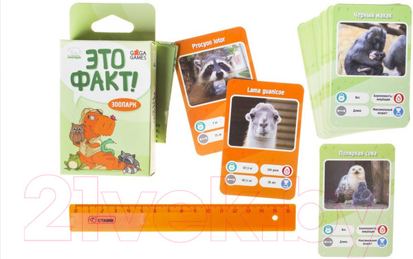 Изображение товара Настольная игра GaGa Это Факт! Зоопарк / GG066