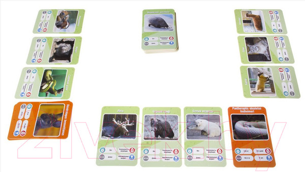 Изображение товара Настольная игра GaGa Это Факт! Зоопарк / GG066