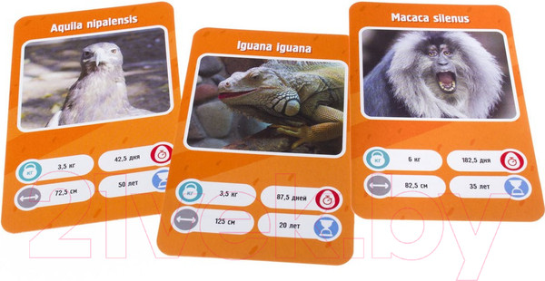 Изображение товара Настольная игра GaGa Это Факт! Зоопарк / GG066