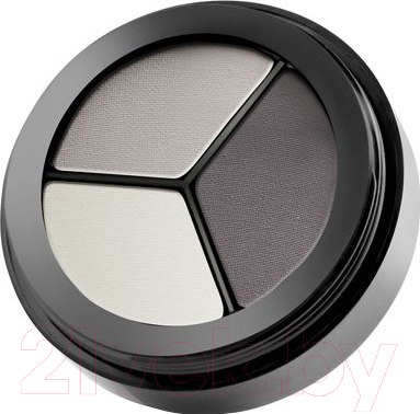 Изображение товара Палетка теней для век Paese Luxus Eye Shadows 101