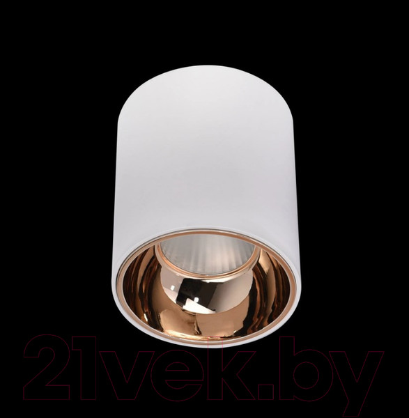 Изображение товара Потолочный светильник Citilux Старк CL7440103