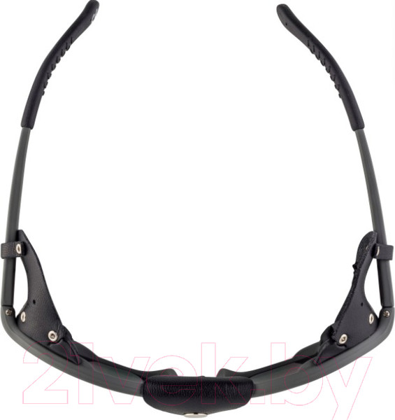 Изображение товара Очки солнцезащитные Alpina Sports Sibiria CM / A83163-27 (Tin/Black)