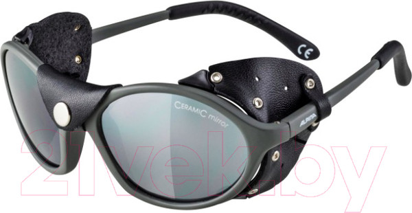 Изображение товара Очки солнцезащитные Alpina Sports Sibiria CM / A83163-27 (Tin/Black)