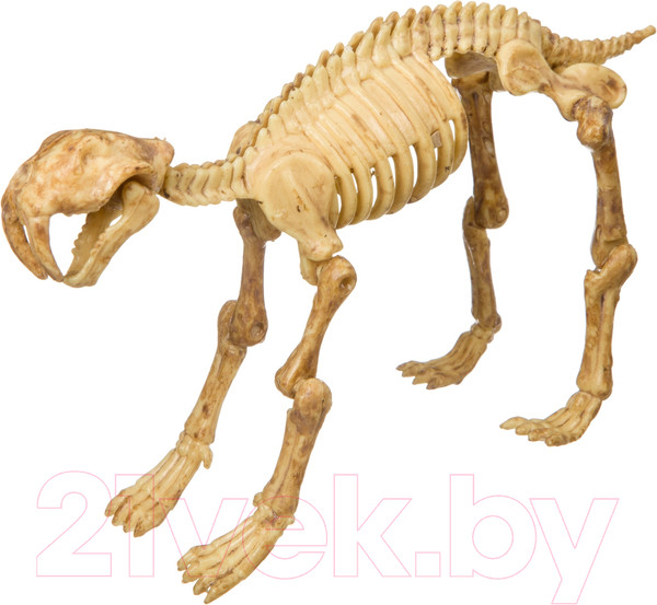 Изображение товара Набор для опытов Bondibon Исторические раскопки. Смилодон / ВВ4205