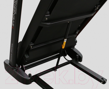 Изображение товара Электрическая беговая дорожка Svensson Body Labs Ortholine TZX