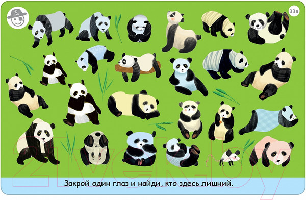 Изображение товара Развивающие карточки Робинс Тренируем зрение