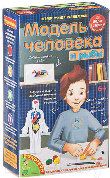Изображение товара Научная игра Bondibon Модель человека / ВВ1840