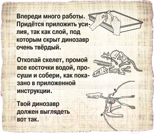 Изображение товара Набор для опытов Bondibon Птерозавр / ВВ1999