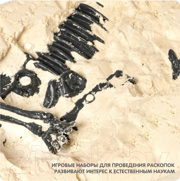 Изображение товара Набор для опытов Bondibon Птерозавр / ВВ1999