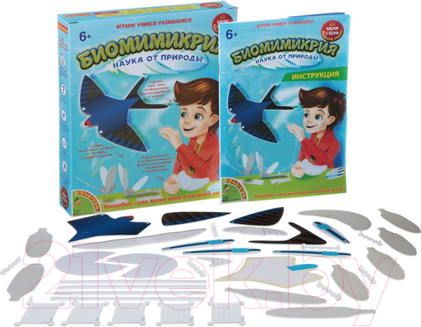 Изображение товара Набор для опытов Bondibon Японские опыты. Биомимикрия / ВВ1459