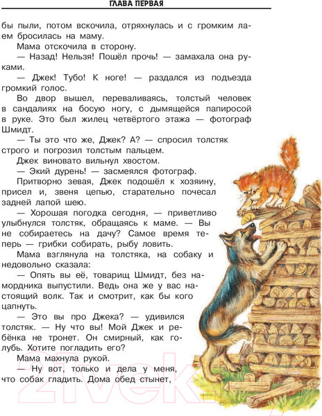 Изображение товара Книга АСТ Необыкновенные приключения Карика и Вали (Ларри Я.)
