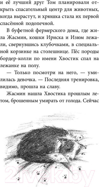 Изображение товара Книга Эксмо Овечка Зефирка, или Чудесное спасение (Питерс Х.)
