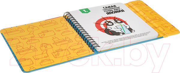 Изображение товара Развивающая книга Bondibon Верю - не верю / ВВ3361