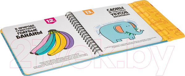 Изображение товара Развивающая книга Bondibon Верю - не верю / ВВ3361