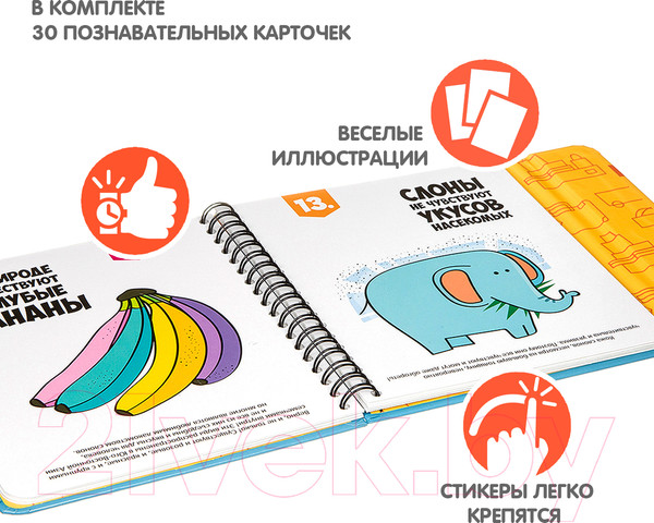 Изображение товара Развивающая книга Bondibon Верю - не верю / ВВ3361