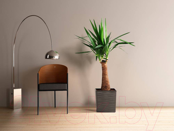 Изображение товара Кашпо Lamela Juka Dluto LA600-50 (графит)