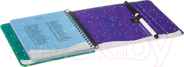 Изображение товара Развивающая книга Bondibon Новогодняя серия. Ребусы / ВВ3548