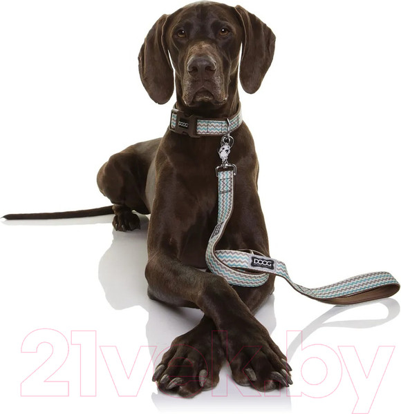Изображение товара Поводок DOOG Benji / LEADBBZ (коричнево-голубой зигзаг)