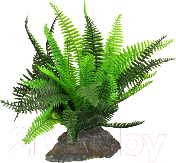 Изображение товара Декорация для террариума Lucky Reptile Fern / IF-101