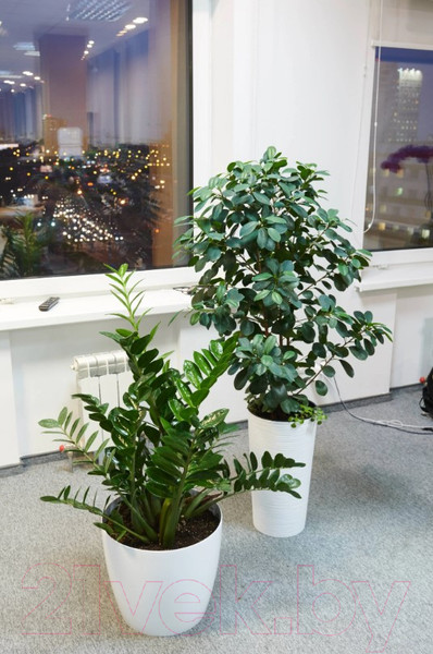 Изображение товара Кашпо Lamela Magnolia LA206-05 (белый)