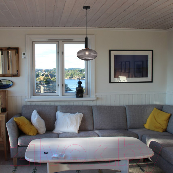 Изображение товара Потолочный светильник Евросвет Bravo 50183/1 (дымчатый)