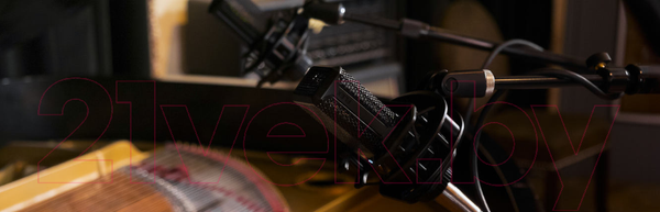Изображение товара Микрофон Lewitt LCT 441 Flex