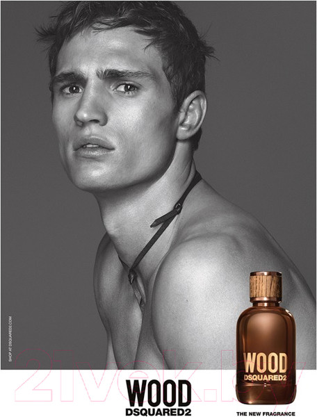 Изображение товара Туалетная вода Dsquared2 Wood for Him (100мл)