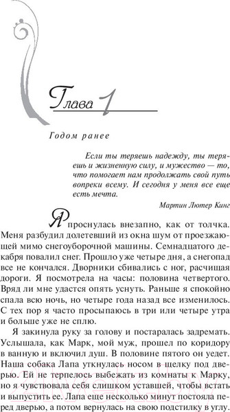 Изображение товара Книга АСТ Рождественская надежда (Ванлир Д.)