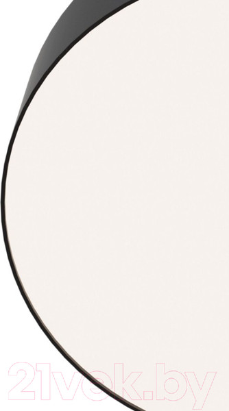 Изображение товара Потолочный светильник Maytoni Zon C032CL-L43B4K