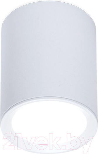 Изображение товара Точечный светильник Ambrella TN215 WH/S