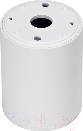 Изображение товара Точечный светильник Ambrella TN215 WH/S