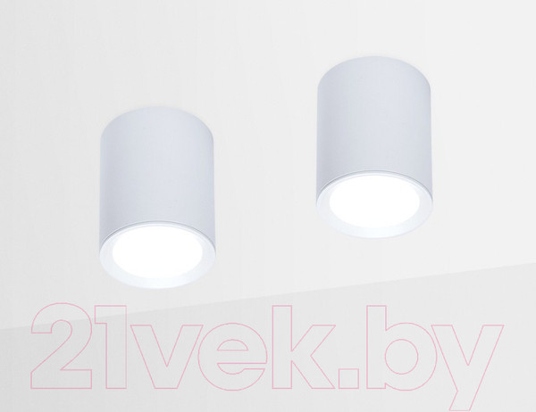 Изображение товара Точечный светильник Ambrella TN215 WH/S