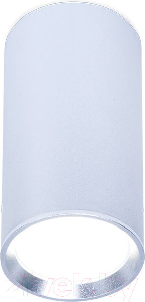 Изображение товара Точечный светильник Ambrella TN219 SL/S