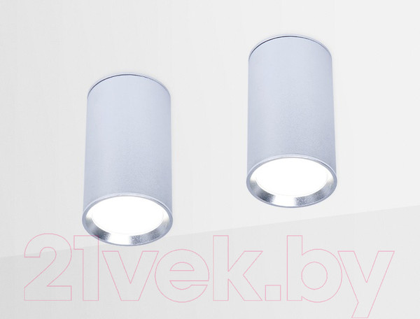 Изображение товара Точечный светильник Ambrella TN219 SL/S