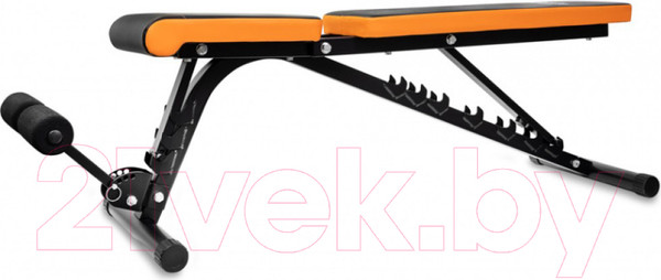 Изображение товара Скамья для пресса Alpin G-5