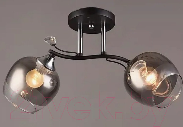 Изображение товара Потолочный светильник Mirastyle SX-1037/2